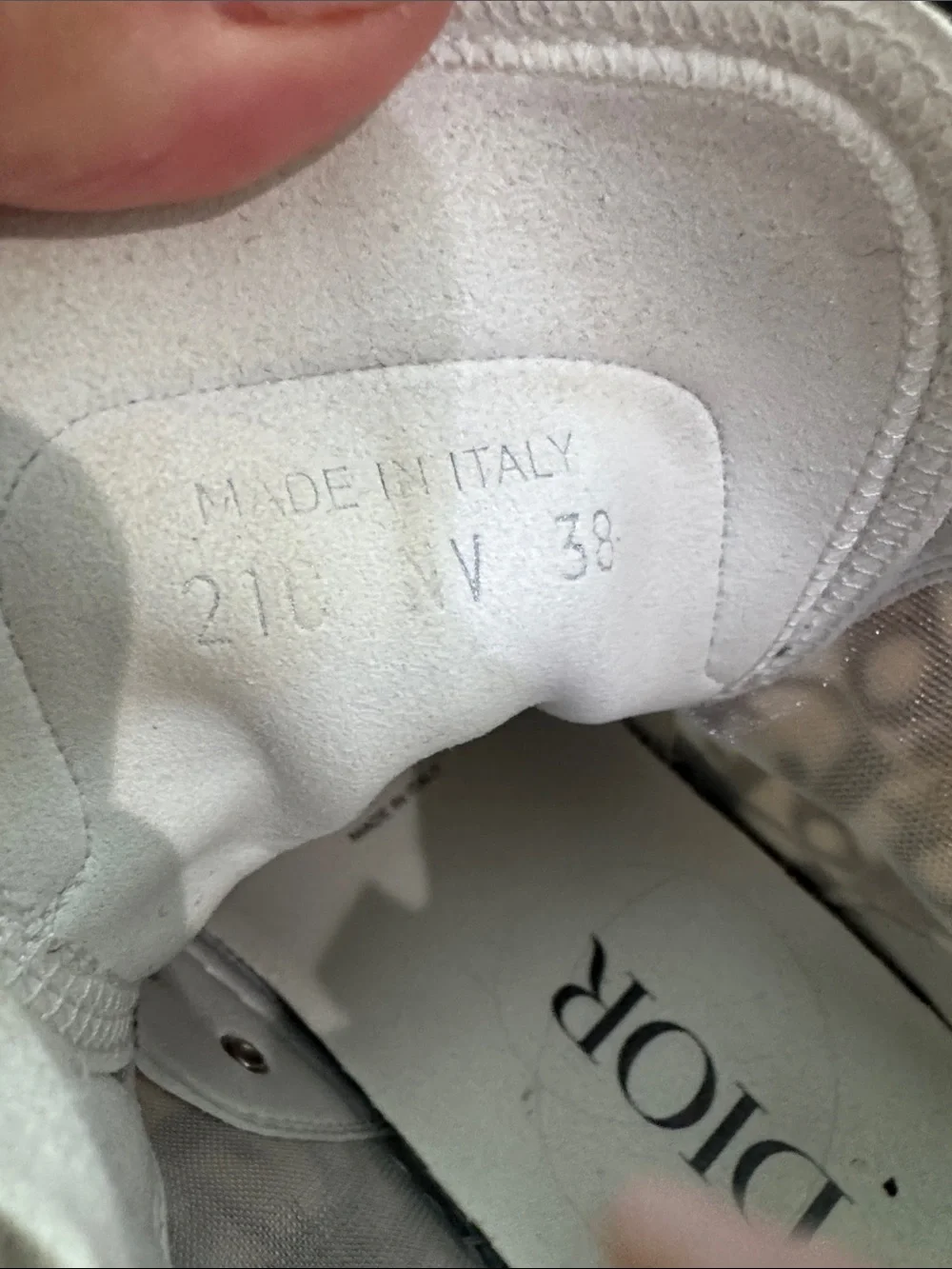 Dior high top